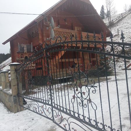 Отель Edelveys Ворохта Экстерьер фото