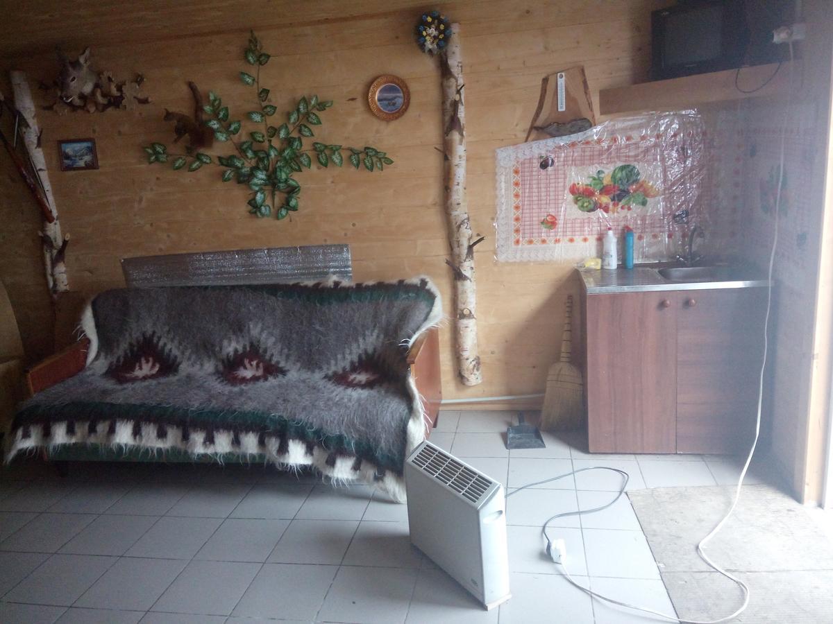 Отель Edelveys Ворохта Экстерьер фото