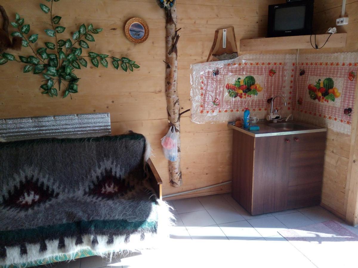 Отель Edelveys Ворохта Экстерьер фото